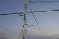 Clicca sull'immagine per ingrandirla. 

Nome:   Antenna Half Sloper 40M _5.jpg 
Visite: 7858 
Dimensione: 113.8 KB 
ID: 101339