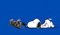 Clicca sull'immagine per ingrandirla. 

Nome:   snoopy steso e il j 36.jpg 
Visite: 415 
Dimensione: 97.7 KB 
ID: 85562