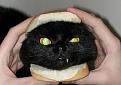 Clicca sull'immagine per ingrandirla. 

Nome:   panino al gatto.jpg 
Visite: 367 
Dimensione: 42.1 KB 
ID: 90601