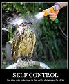 Clicca sull'immagine per ingrandirla. 

Nome:   self-control.jpg 
Visite: 365 
Dimensione: 249.7 KB 
ID: 91331