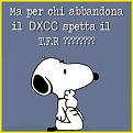 Clicca sull'immagine per ingrandirla. 

Nome:   Snoopy T F R-DXCC.jpg 
Visite: 522 
Dimensione: 50.6 KB 
ID: 99799